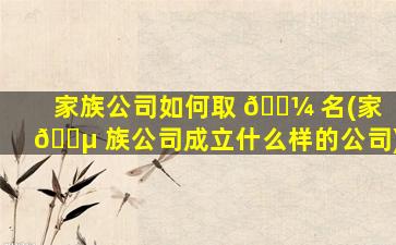 家族公司如何取 🌼 名(家 🐵 族公司成立什么样的公司)